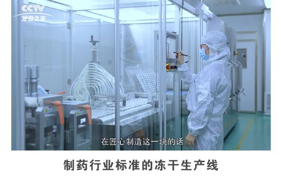 制药行业标准的冻干生产线
